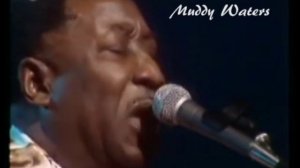 BEST OF THE BEST! AMERICAN BLUES ROCK HARMONICA PLAYERS of 1960,1970,1980!