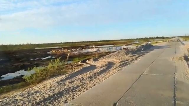 Медведь и олени смотреть онлайн