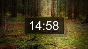 Countdown timer, 30 minutes with relaxing music for studying, reading, concentration or Yoga