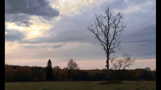 А Пушкин За весной, красой природы Из поэмы Цыганы #стихиоприроде #поэты19века смотреть онлайн
