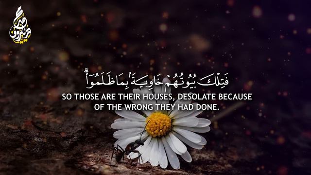 ستدمن سماع هذه التلاوة بصوت القارئ محمد ديبيروف - سورة النمل 🐜 - بصوت خاشع ومريح للقلب ❤️ смотреть онлайн