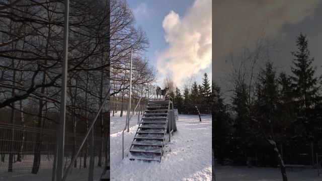 Отличник смотреть онлайн