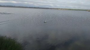 Рыбалка в станице Новомалороссийской. Стоит ли приехать еще раз?