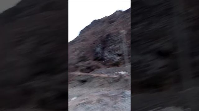 3 собачки СПАСАЮТСЯ от холода и нелюдей в старом туалете в ГОРАХ! МАРИНА +7 960 406-91-29 ВАТСАПП смотреть онлайн