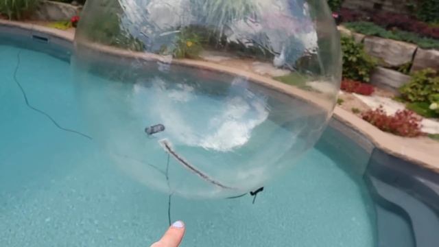 Testing POOL FLOATIES & TOYS from AMAZON / ALIEXPRESS! смотреть онлайн