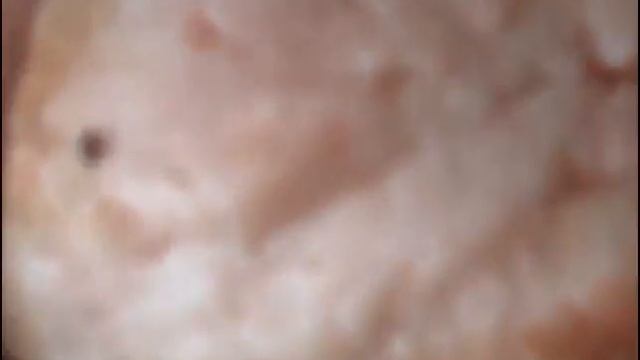 Солим сало в морозилке (Salt Bacon In The Freezer)