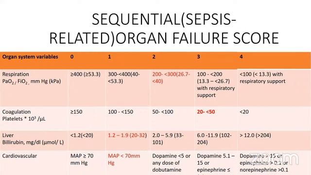 RO2023 Early Pregnancy related Sepsis, Dr Mandondo смотреть онлайн