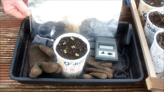Give your windowsill seedlings more FREE light and see the difference. Light box instructions belo смотреть онлайн