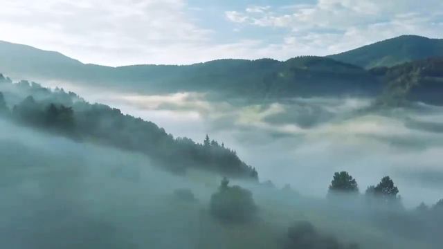 Неопознанный блюз смотреть онлайн