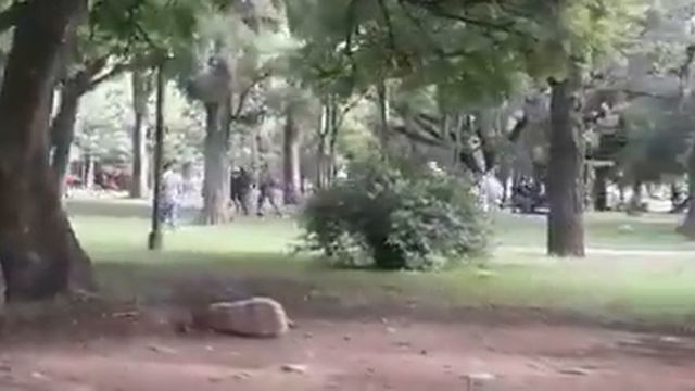 Parque San Martín, San Salvador de Jujuy смотреть онлайн