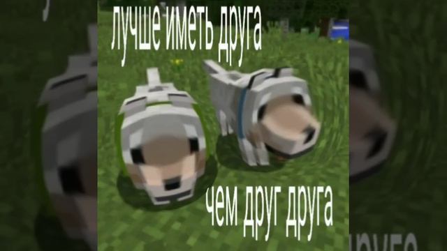 ЛУЧШЕ ИМЕТЬ ДРУГА ЧЕМ ДРУГ ДРУГА АУФ☝️