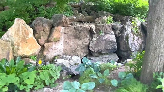 БОТАНИЧЕСКИЙ САД ЧИКАГО. Много красоты и сюрпризов смотреть онлайн
