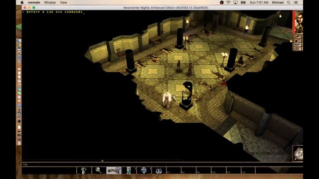 How to cheat in neverwinter nights enhanced edition.. Console Commands смотреть онлайн