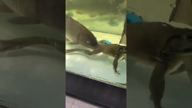 Что происходит? Есть специалисты? смотреть онлайн