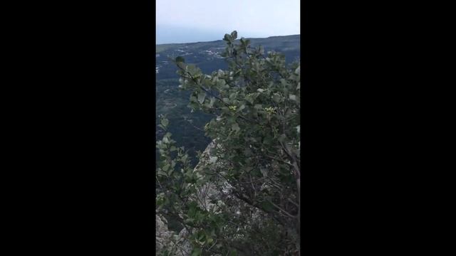 Боткинская Тропа смотреть онлайн