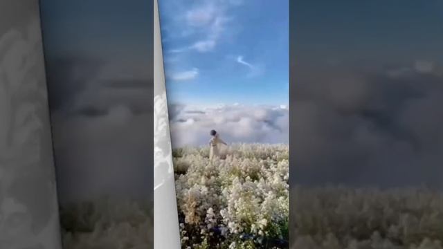 Стих "Моя мечта". Читает Изабелла Щербинина. Стихи собственного сочинения смотреть онлайн