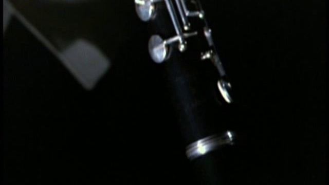 GUSTAV MAHLER & LEONARD BERNSTEIN Symphony No.8 (Conclusion) смотреть онлайн