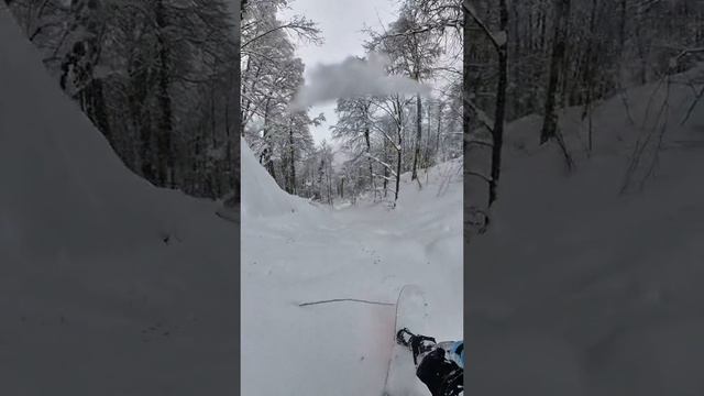 зима в сердце❄️?