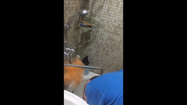 У каждого своё утро ) Отличие обычного человека от игромана ^_^ смотреть онлайн