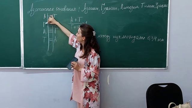 Строение ДНК смотреть онлайн