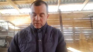 Какие свиньи лучше. Вьетнамские или белые.