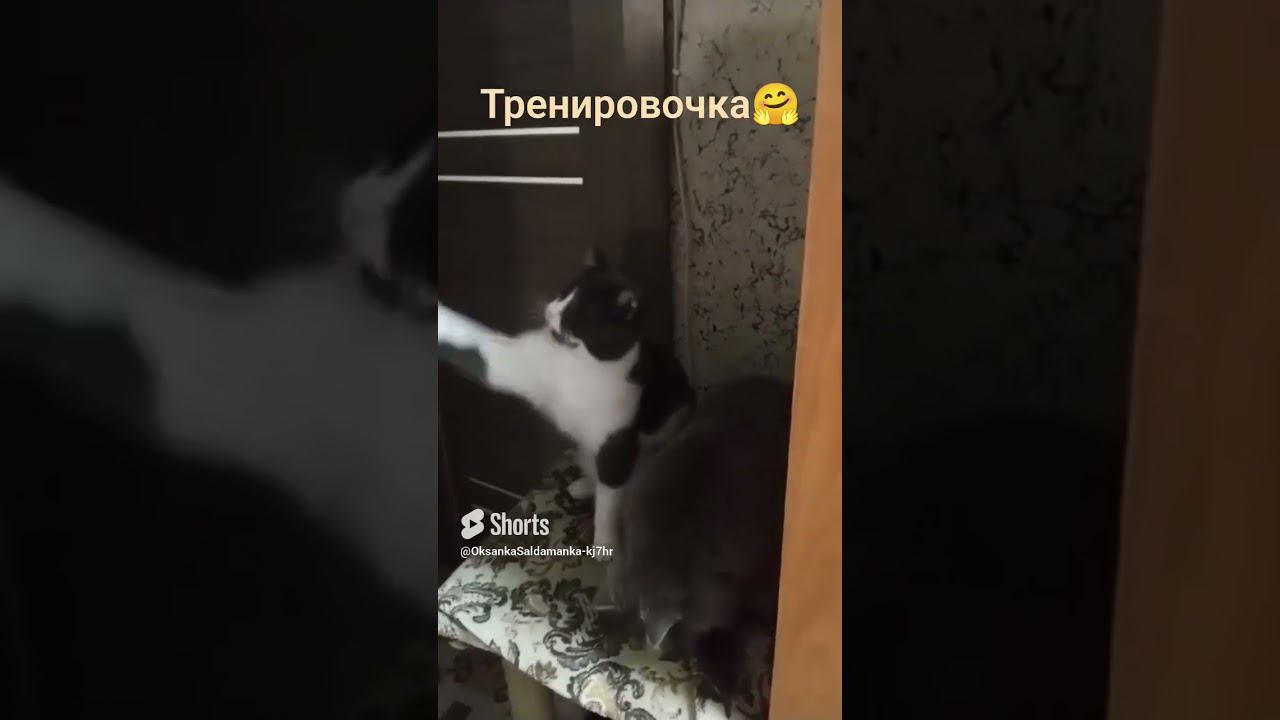 утренние тренировки ленивее❤️❤️❤️ смотреть онлайн