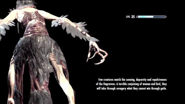 Skyrim - Load Screen - Hagraven смотреть онлайн