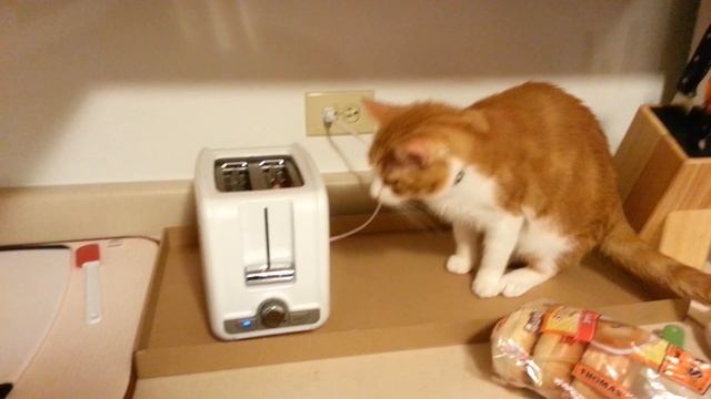 Delta Smooth vs. Toaster смотреть онлайн