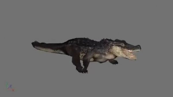 BLESS 3D models + animations 3 (.c4d)