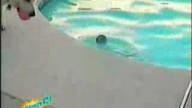 Подборка курьезных падений смотреть онлайн