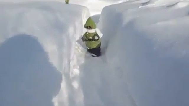 Обезьяна ест снег! смотреть онлайн