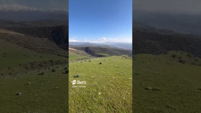 Какая красота!