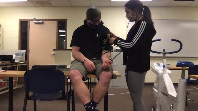 Blood Pressure Assessment смотреть онлайн