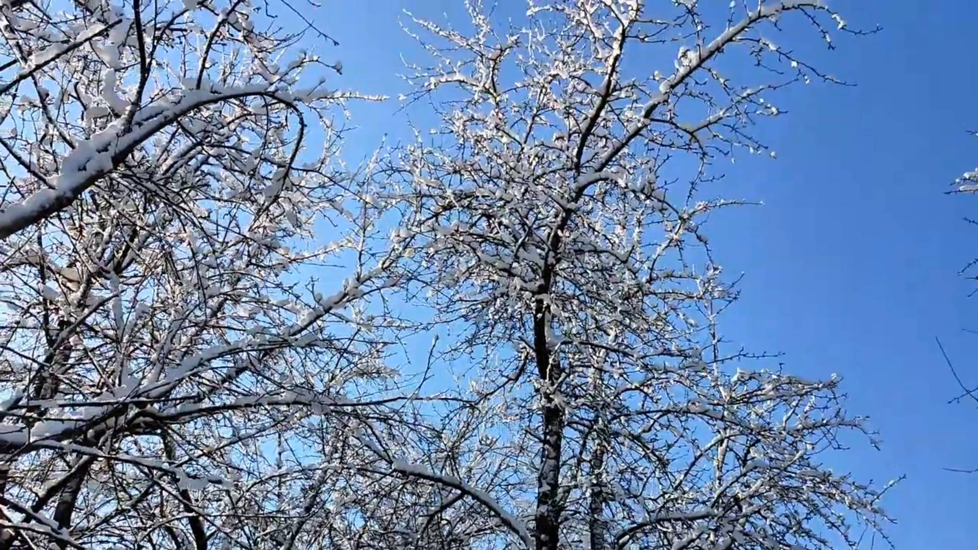 Свирептствует Балканский циклон!!! Обзор моих недавних покупок! смотреть онлайн