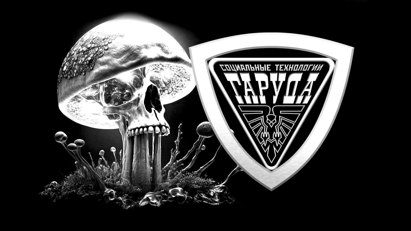 МУЛЬТИПЛЕКАНС✨ смотреть онлайн