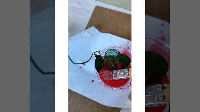 Kaip gydau juodas dėmes ant vaškuolių 💊Как я залечиваю чёрные пятна на хойках смотреть онлайн