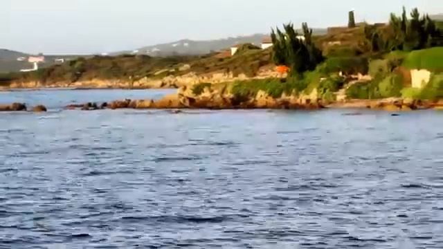 The Best Selling Paddleboard for Beginners !!Aqua Marina Fusion 10'4 Standuppaddle Board Trim смотреть онлайн