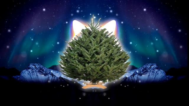 Пихтой пахнет Пахин Пах (31-37 Hz) Low Bass