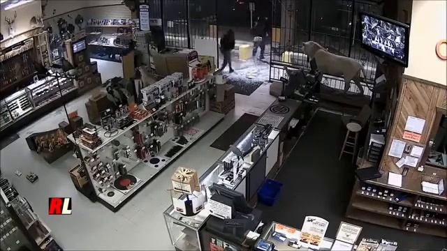 Ограбление оружейного магазина в Хьюстоне | The robbery of a gun store in Houston смотреть онлайн