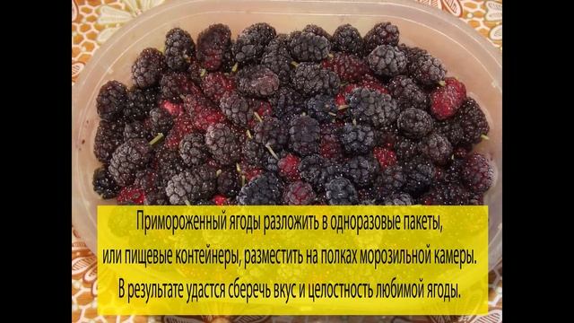 Как заморозить шелковицу на зиму смотреть онлайн