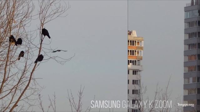 Тестирование камер флагманов: iPhone 6, iPhone 6 Plus, Moto X и Samsung Galaxy K Zoom смотреть онлайн