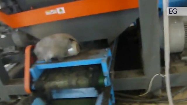 Линия для переработки шин в резиновую крошку HD500