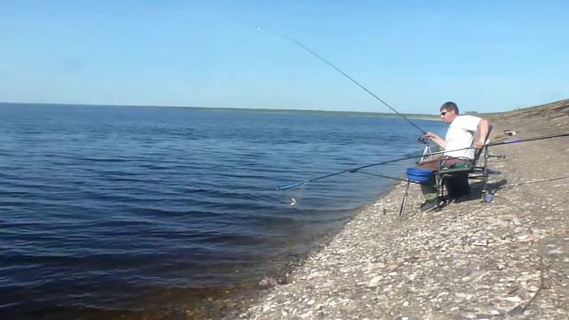 подъязок на дамбе. смотреть онлайн