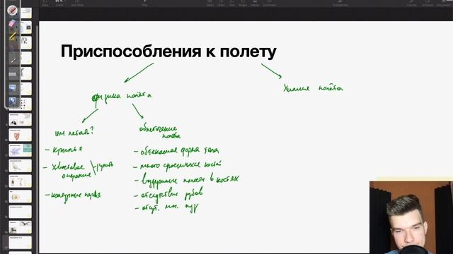 15 приспособлений птиц к полету | Биология ЕГЭ смотреть онлайн