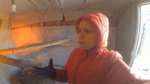 Старушки - несушки. Сколько лет живут куры?