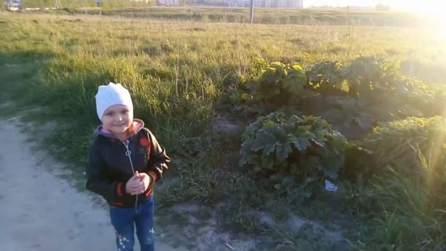 Прогулка перед сном или что такое борщевик. #МамаиДочка, #ПознаемМир