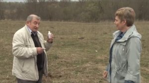 Как избавиться от кротов на дачном участке