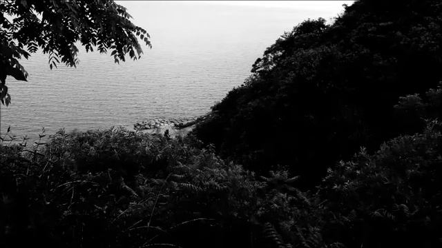 Canon Powershot ELPH SX620 HS Camera - {{Review}} смотреть онлайн