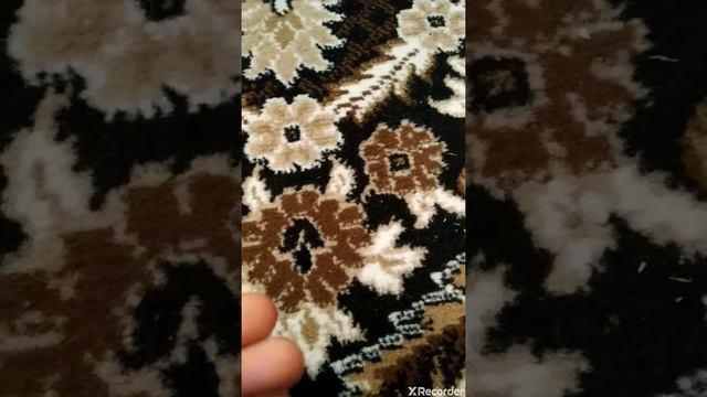Уход за декоративными крысами\крысой?❤️ смотреть онлайн