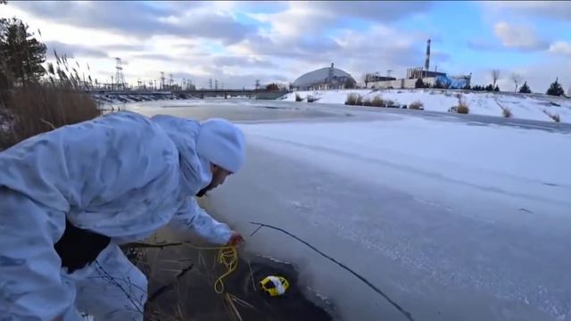 Рыба в чернобыле около реактора смотреть онлайн